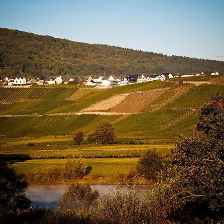 Apartment Weingut Wolfgang Kohl