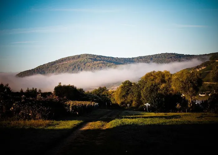 Apartamento Weingut Wolfgang Kohl Brauneberg