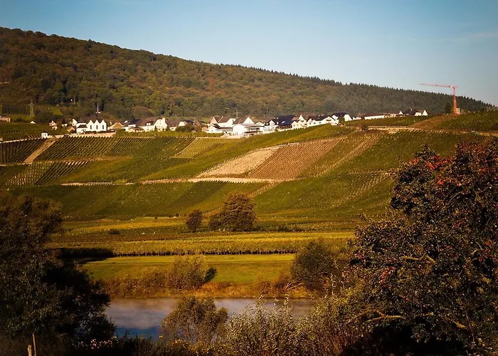 Apartamento Weingut Wolfgang Kohl